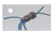 Kaartjes voor geboortebedankjes