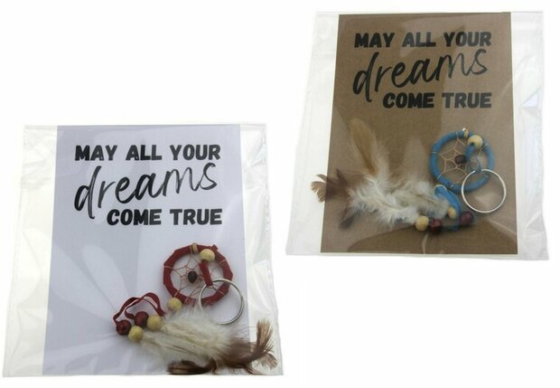 Gelukszakje kaart live your dream sleutelhanger dromenvanger