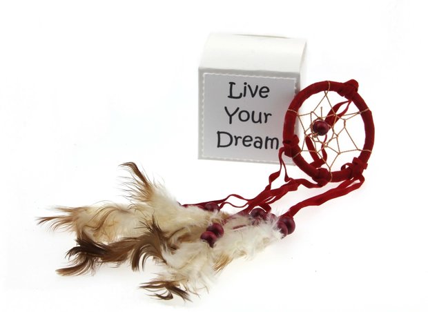 Geluksdoosje Live your dream